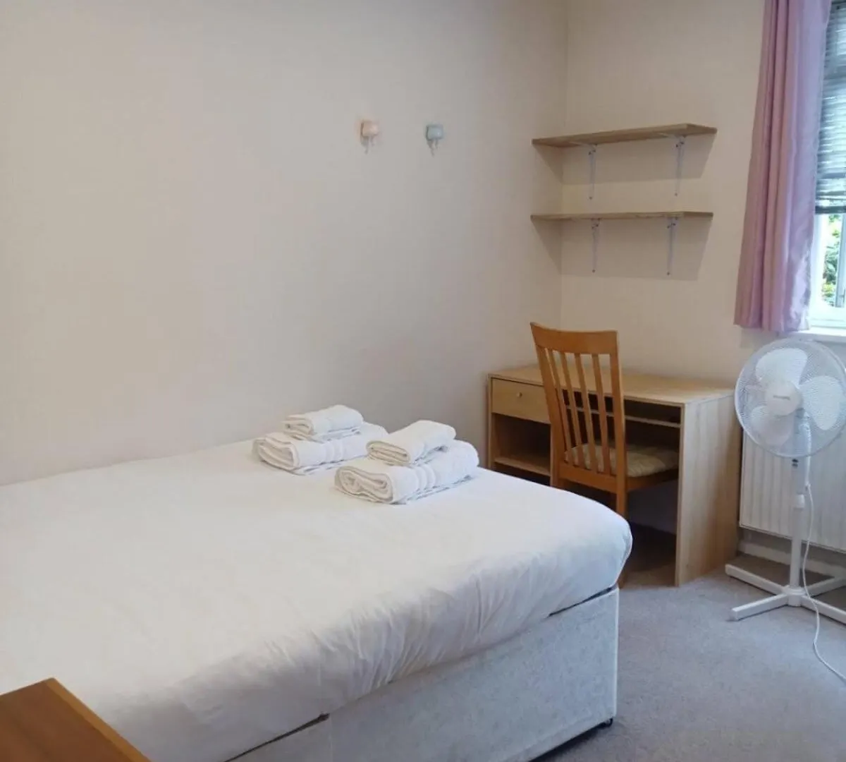 Homely 3 Bedroom House With A Garden London